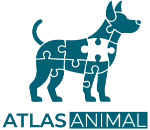 Atlas Animal